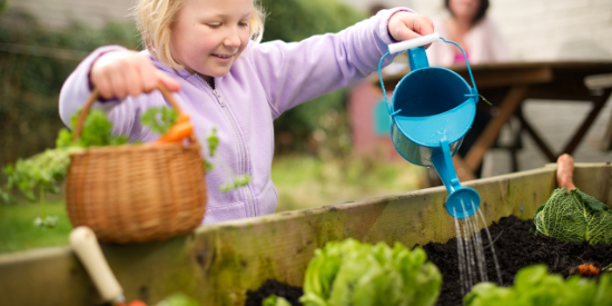 growing your own food - young girl picking food from her vege patch